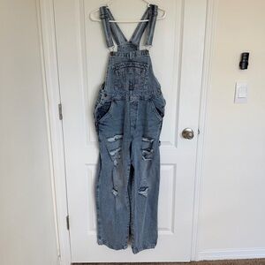 Hybrid & Company Blue Denim Overalls